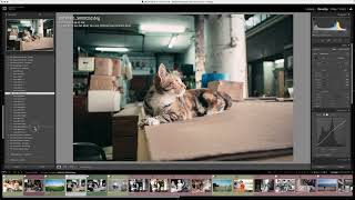 The Classic FIlm Presets : Lomo Love screenshot 5