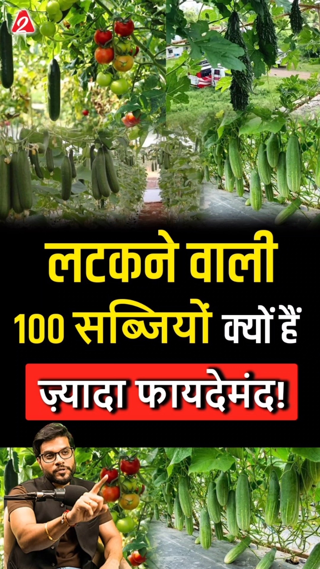 लटकने वाली सब्जियां क्यों हैं ज़्यादा फायदेमंद! #shorts #youtubeshorts by Dr. #arvindarora