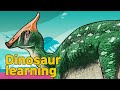 Dinosaur Saurolophus Collection | herbivorous dinosaur Saurolophus | 공룡 사우롤로푸스