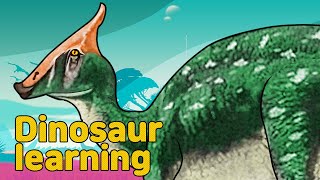 Dinosaur Saurolophus Collection | herbivorous dinosaur Saurolophus | 공룡 사우롤로푸스