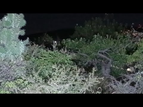 El Cerro De La Bruja Le Rezan Las 12 Verdades Y La Tumban Nos Amenaza 