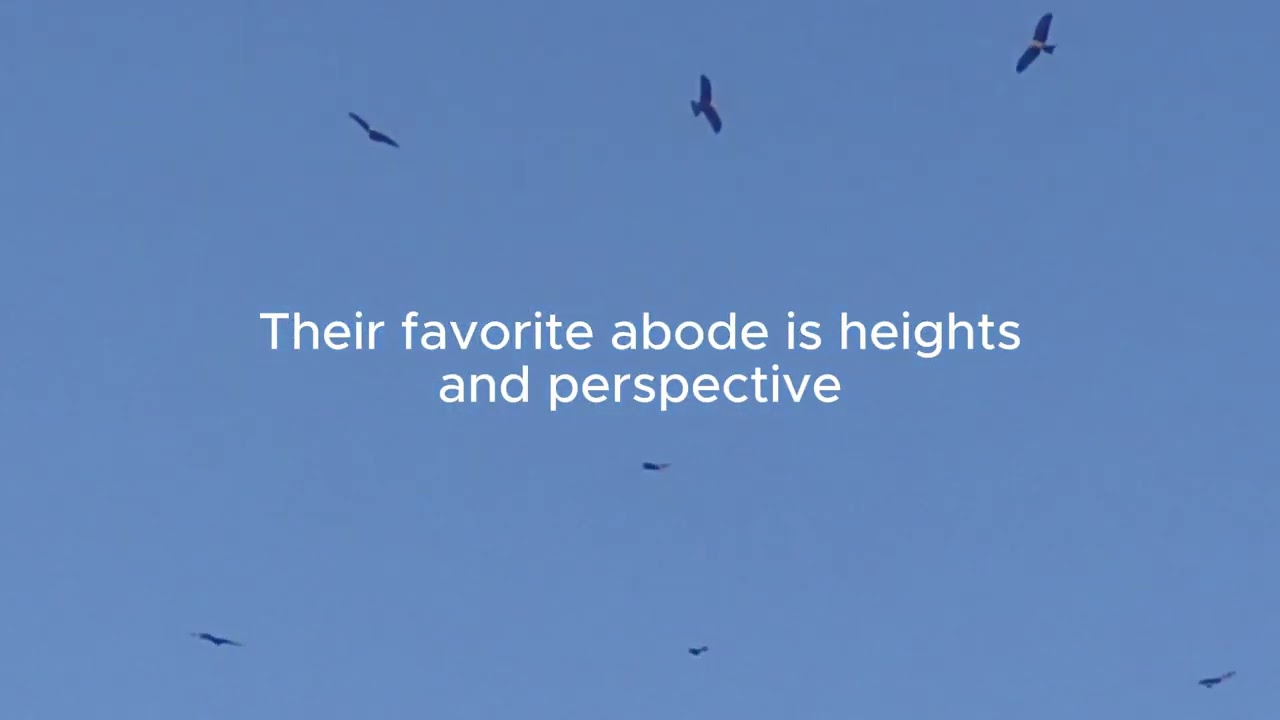 Mount on Wings like Eagles