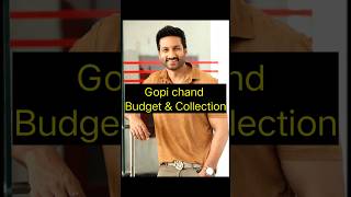 Gopichand Top 10 Movies 🔥 😳 | Budget vs Collections 💰”