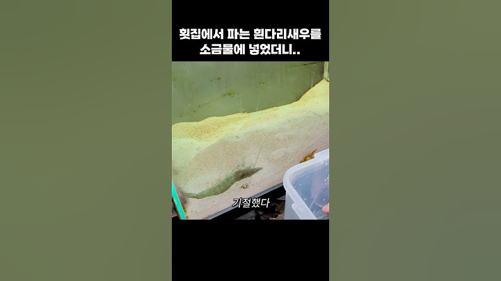 기절한 흰다리새우를 어항에 넣으면 생기는 일