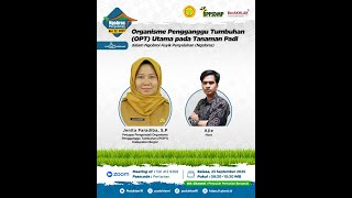 Ngobras Volume 32 Tahun 2025