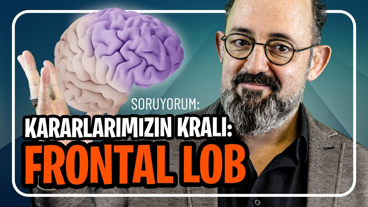 Kararlarımızın Kralı: Frontal Lob I SoruYorum