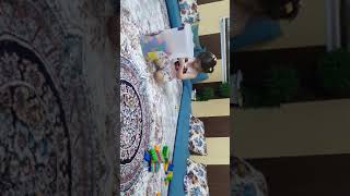 baby collects her toys after she finish playing إينور تجمع العابها بعد الانتهاء من اللعب