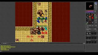 Old Tibia - LvL 1 to 8 in seconds (2 parts) - (Nova 2005 7.55)