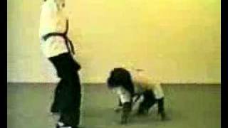 - Monkey - Kung Fu-( Ringtones_ghazali  ).avi