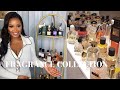 My entire perfume collection 2023  luxury  long lasting perfumes  edwigealamode