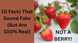 10 Facts That Sound Fake But Are 100% Real