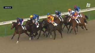 Vidéo de la course PMU PRIX DE TORQUESNE