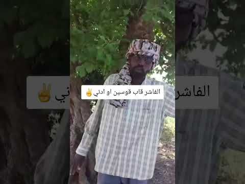 القائد جعب الدار في رساله الى البريد القبر لا تثق في البرهان قال قبل اليوم اول ماطلع واكل ذلابييه
