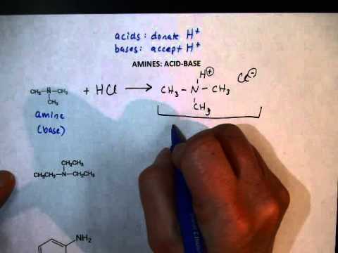 Video Amine Reactions (AcidBase) - youtube