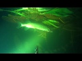 Подводная охота - ночь, щука и лещ