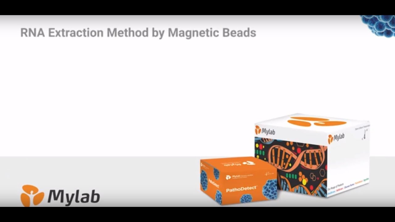 Mylab | Maverick Magnetic Bead Based Nucleic Acid Extraction Kit - YouTube