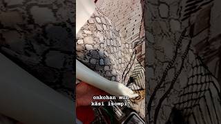 Mun Käsi Vs. Mallinuken Käsi ?