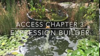 Access Chapter 3 Profile