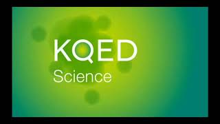 Kqed Logo History Updated 2.0
