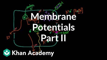 Membrane potentials - part 2 | Circulatory system physiology | NCLEX-RN | Khan Academy