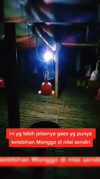 Penampakan Pocong di Peternakan Ayam ? #shorts