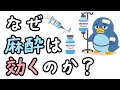 脳が痛みを感じなくなる仕組みをやさしく説明!