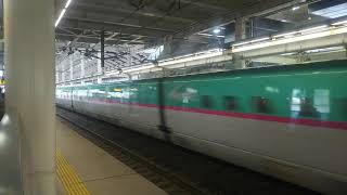 東北新幹線 下り 回送 E5系 2019.02.01