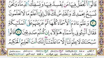 سورة البقرة كاملة و مكتوبة بصوت بيشةوا قادر الكردي Full surah Al Baqara Peshawa Kurdi