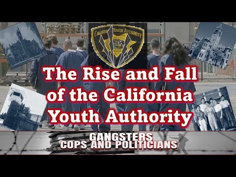 What Is Youth Authority