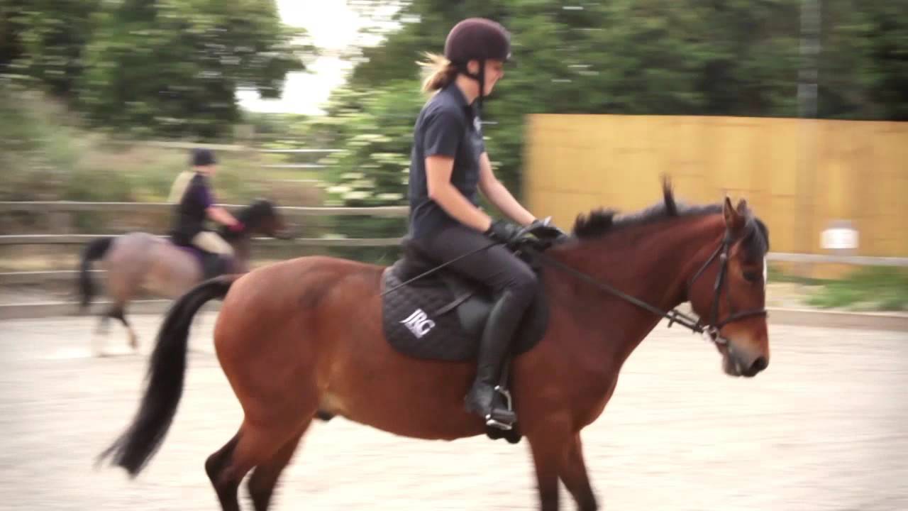 Play Your Part - Horse Health Week 2015