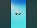 【Blender】昨日きれいな蝶みた