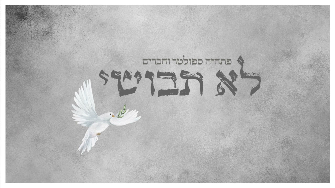 לא תבושי - מודז'יץ (ווקאלי) | פתחיה ספולטר ודרור כהן