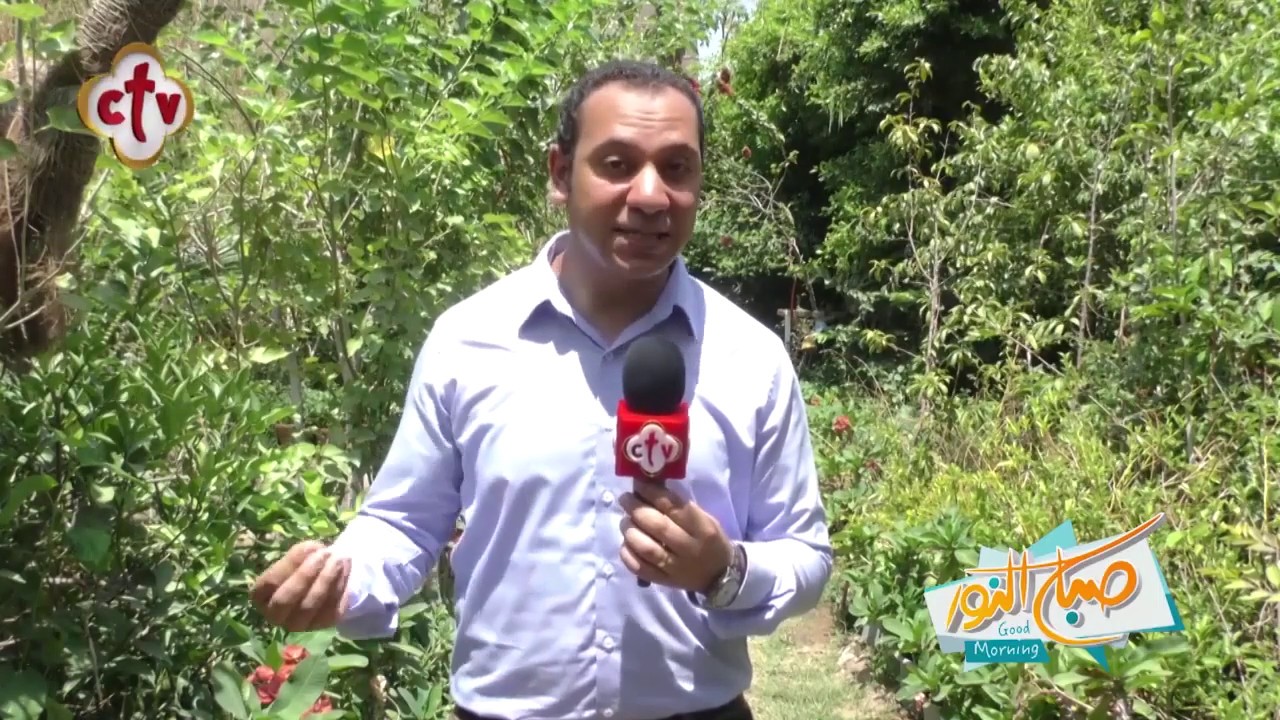بنجيب دودة الريد ويجلر منين وازاي بيتم إنتاج سماد الفيرمي كومبست | تقرير فريد إدوار | CTV