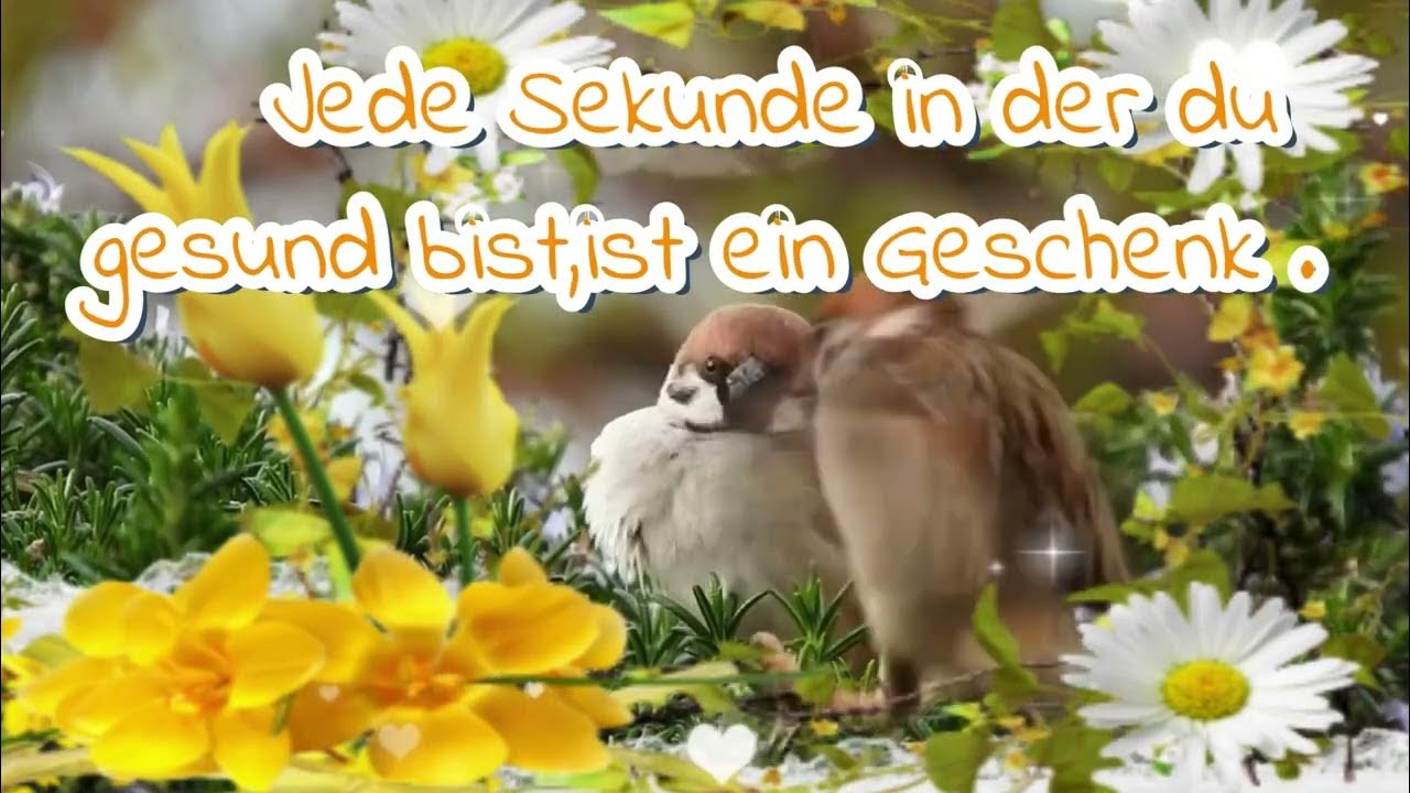 Nutze deine Zeit 😉Denn jeder Moment in deinem Leben ist einmalig 🥰