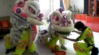 Lion Dance (Chinese New Year 2010) By Yi Quan Arts.