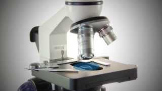 Microscopio Monocular Biológico Ve-M4