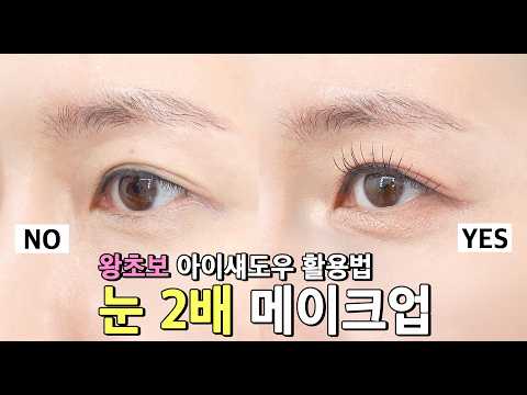 아이섀도우 이렇게만 하면 눈 2배 커집니다👀 왕초보 아이메이크업 완전 정복