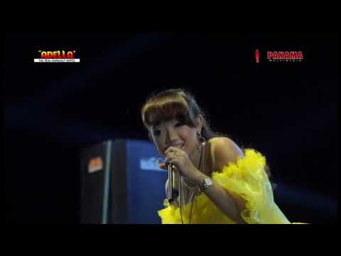 NEW BADSELOR 2019 PESONA ARNETA \