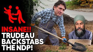 Trudeau Backstabs The Ndp To Save His Own A**!