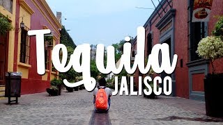 Un día en Tequila Jalisco Pueblo Mágico // Que hacer y Ver  en Tequila Jalisco // Solo Shiro