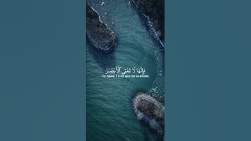 اذكر الله| سورة الحج الاية 46-47 القارئ ياسر الدوسري #قران #اكتب_شي_توجر_عليه #ياسر_الدوسري