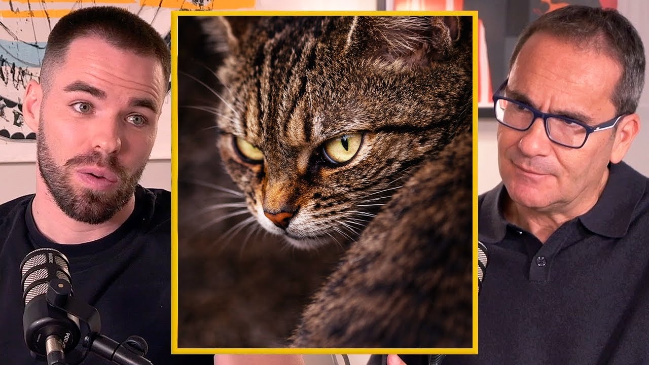 Tu Gato Podría Ser un Psicópata y No Lo Sabes – Biólogo Explica Por Qué
