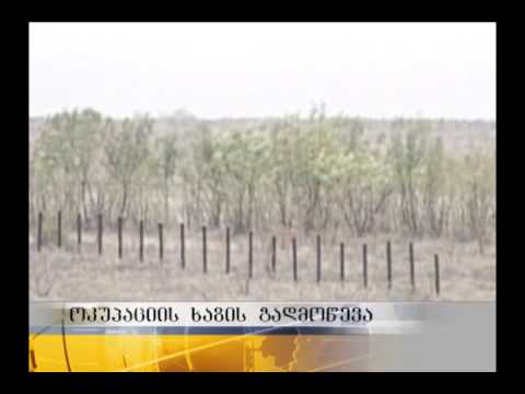 დიცის შემდეგ რუსმა სამხედროებმა ე.წ. საზღვრის გადმოწევა სოფელ დვანთან სცადეს.