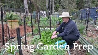 Working towards abundant harvests and food security | Spring garden preparation