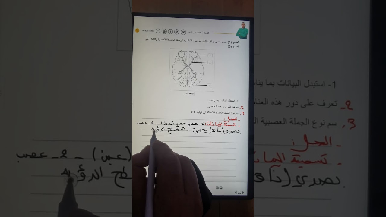 تمرين جيد الحس الشعوري للرابعة متوسطة علوم طبيعية