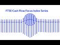What is the FTSE Cash Flow Focus Index Series?