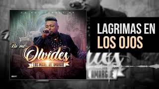 Lagrimas en mis ojos  | Luis Miguel del Amargue | Nuevo Álbum No Me Olvides |  Bachata 2018