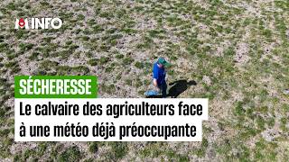 Drought: Farmers' ordeal in the face of already worrying weather