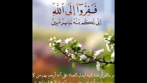 ففروا إلى الله.....#قرآن كريم بصوت جميل/2022
