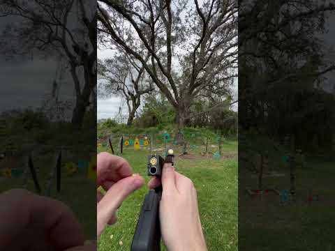 2 hands 2 sketchy pistols